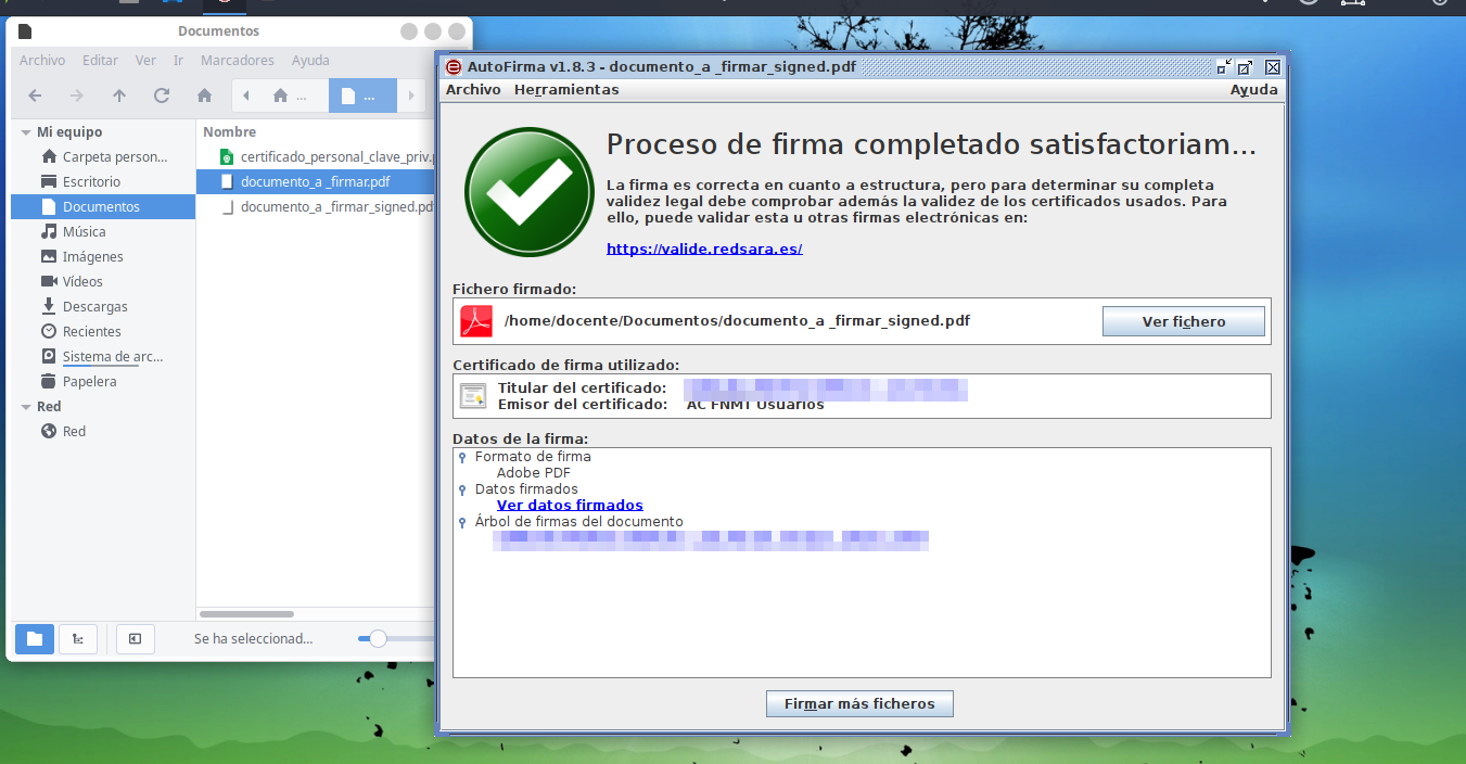 Documento firmado